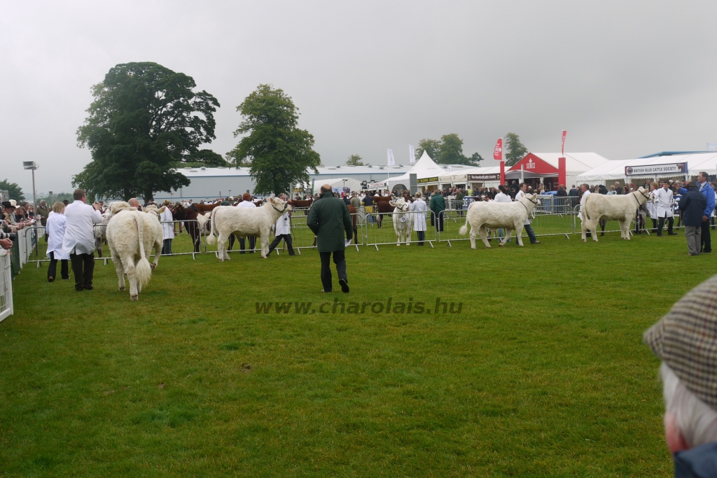 WCC Nagy-Britannia 2012 - DZ